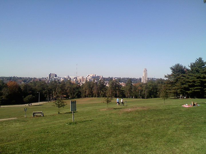 Oakland Skyline from Schenley Park