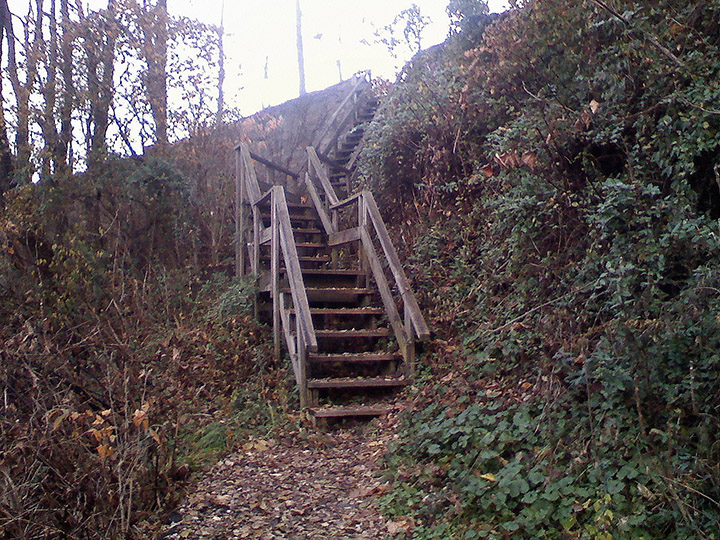 Up Mackey Street to Lawn Street Stairway