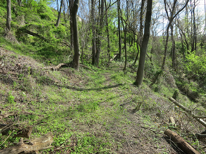 Cleared Section of Bates Street Trail