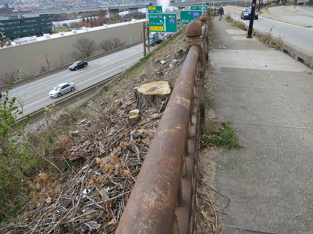 Tree Cut at Top of I376 Exit Ramp